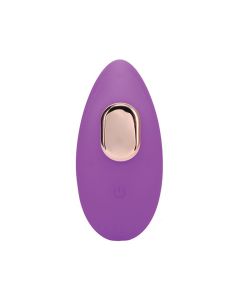 In A Bag Panty Vibe w/Remote - Purple