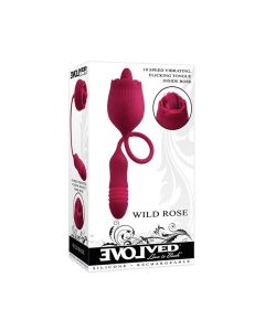 Evolved Wild Rose - Red